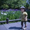 孫・三男坊