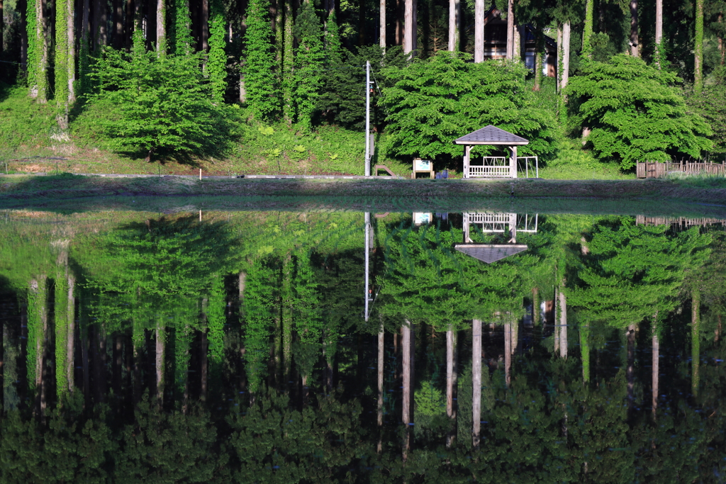 田植え前