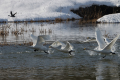 一斉に飛び出し(２グループ)