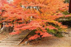 阿弥陀山清水寺の紅葉３