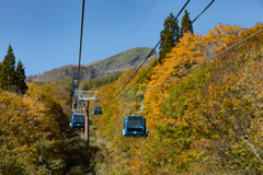 物足りずの紅葉 物足りずの紅葉