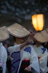 越中八尾「おわら風の盆」６(判明)