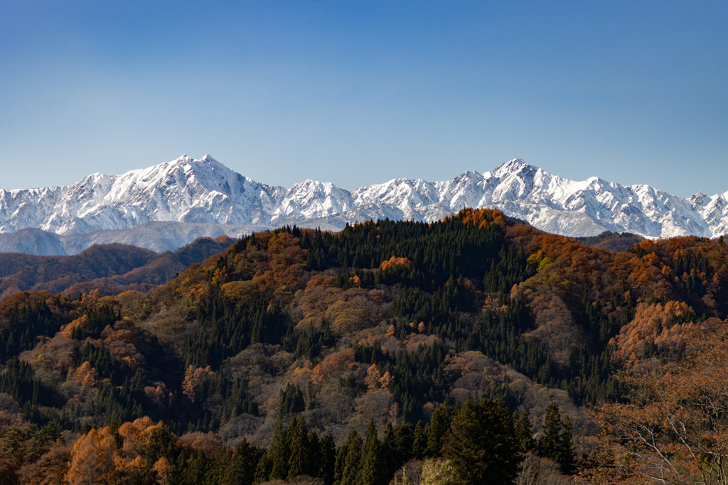 アルプ展望台より
