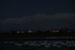 白鳥の目覚め前
