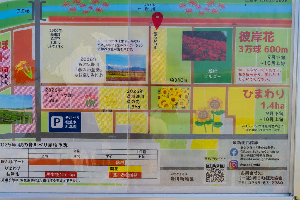 参考に・・・ポスター