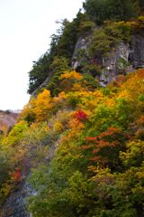 白山白川郷ホワイトロードの一コマ