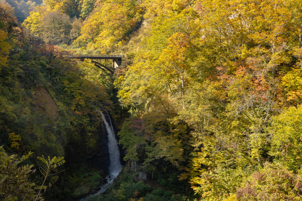 赤倉「不動の滝」