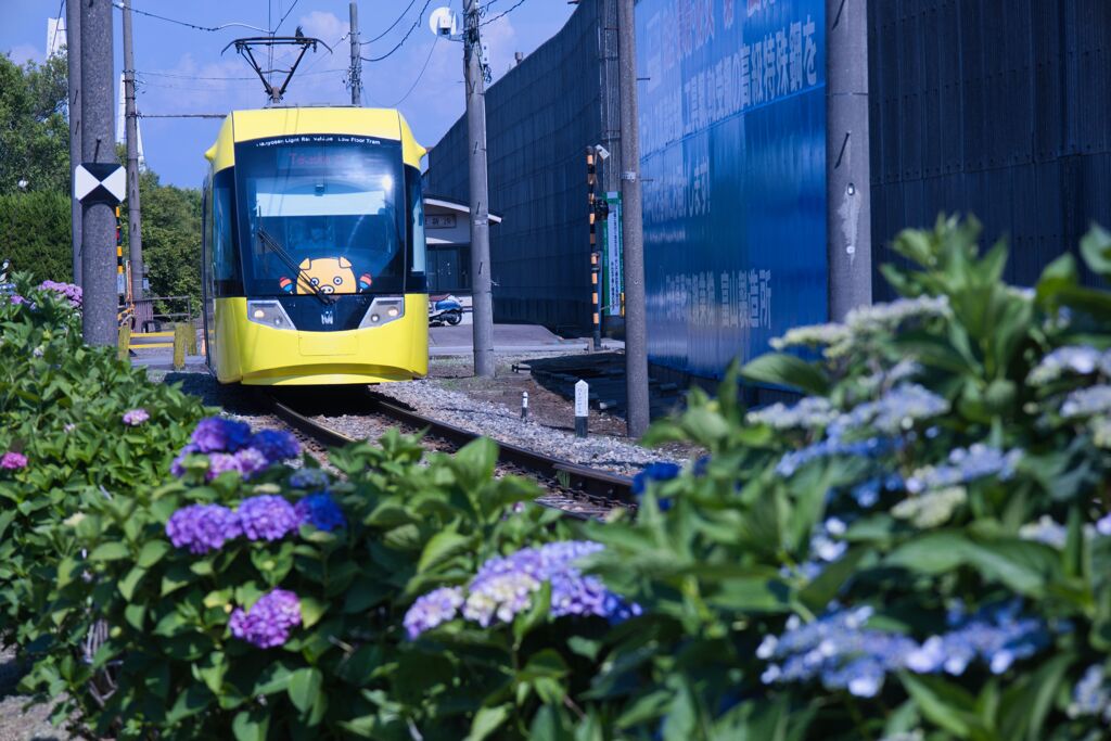 万葉線電車２