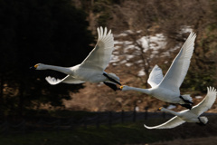 上昇旋回、向かう方向は・・・？