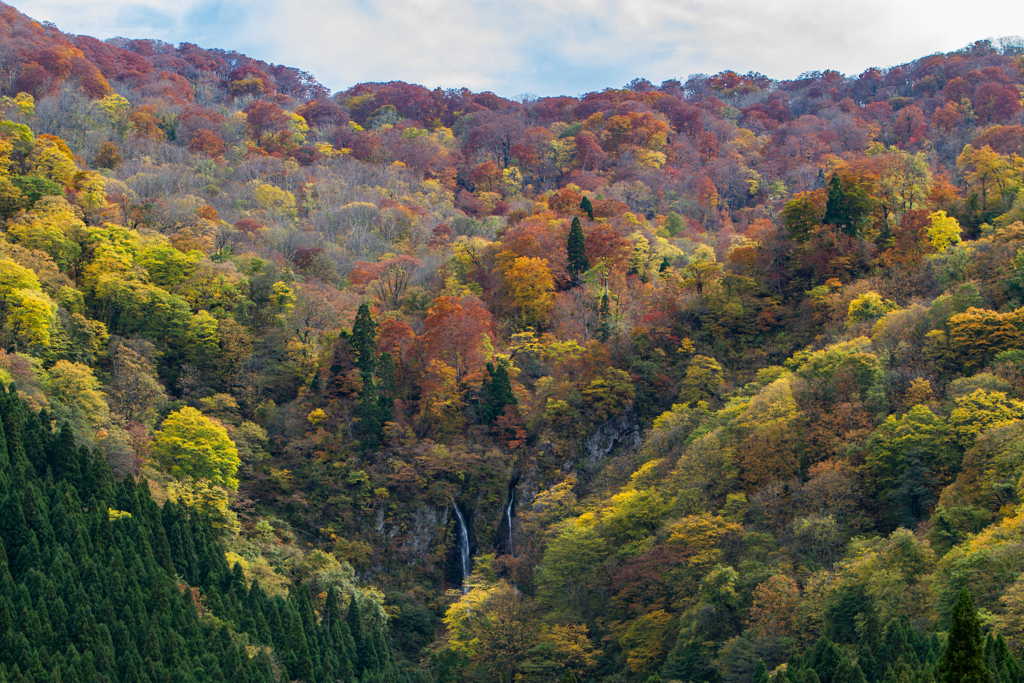 平野部近くの紅葉