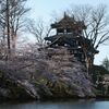 朝の高田城１