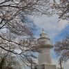 岩崎ノ鼻灯台と桜２