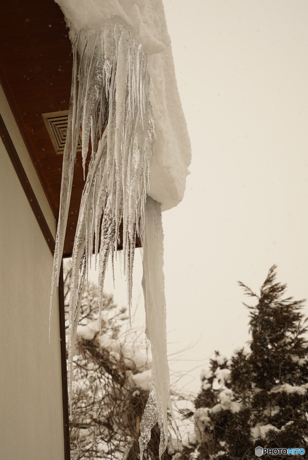 積雪も氷柱も