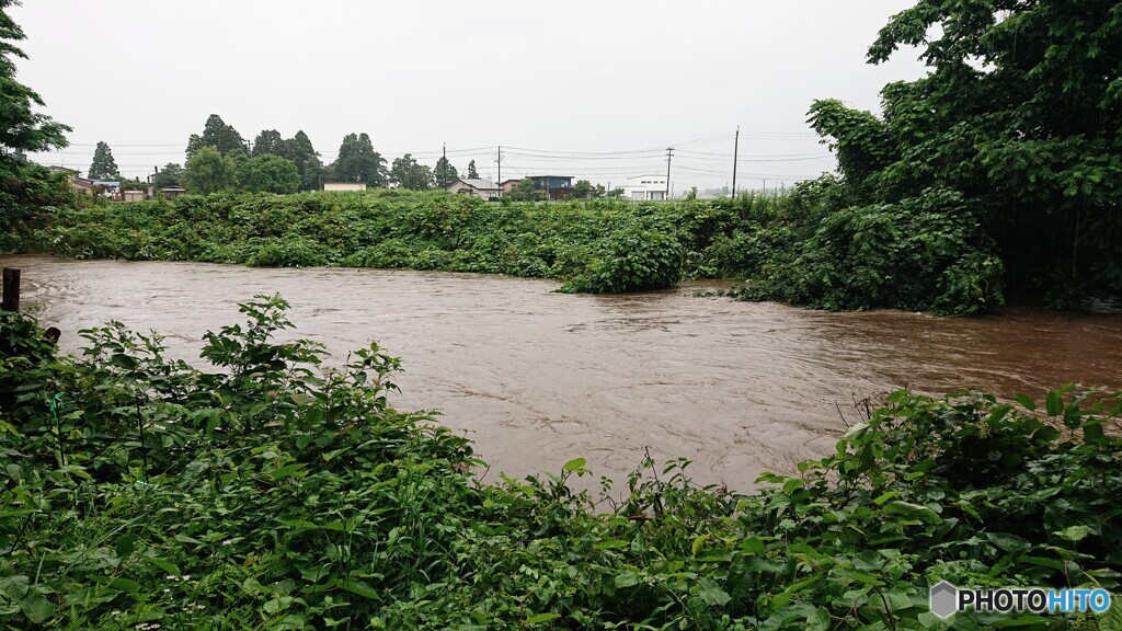 大雨増水の裏の川