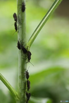 どこまで行くの？