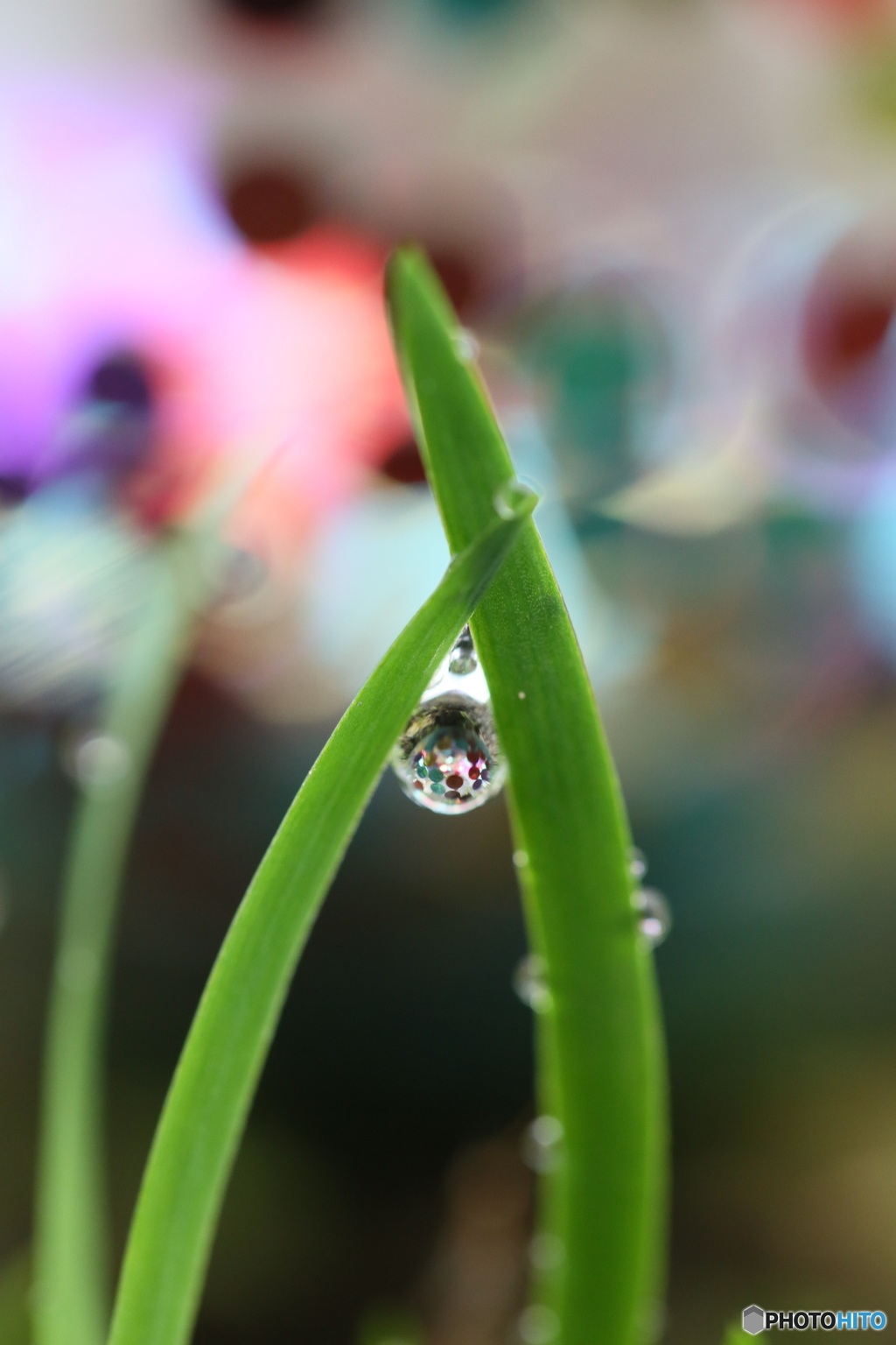 雨あがり
