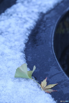 初雪の頃　２