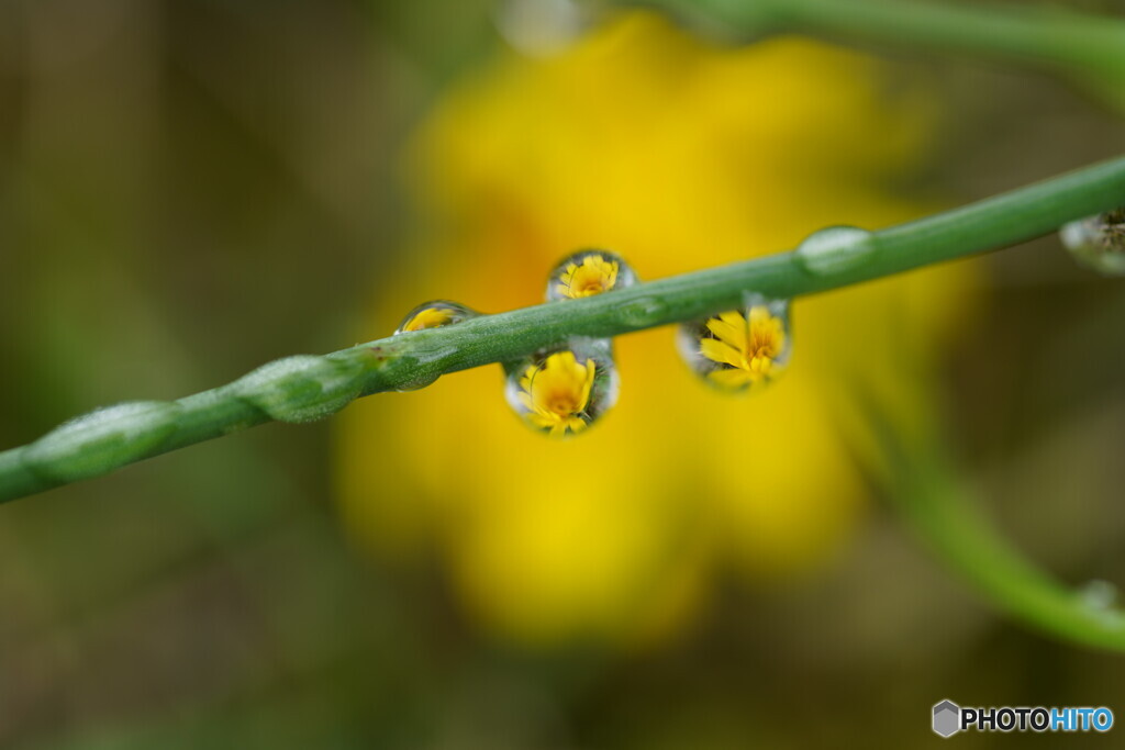 雨あがり