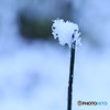 粉雪