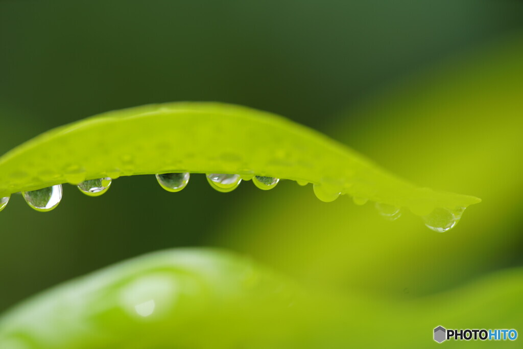 雨上がり