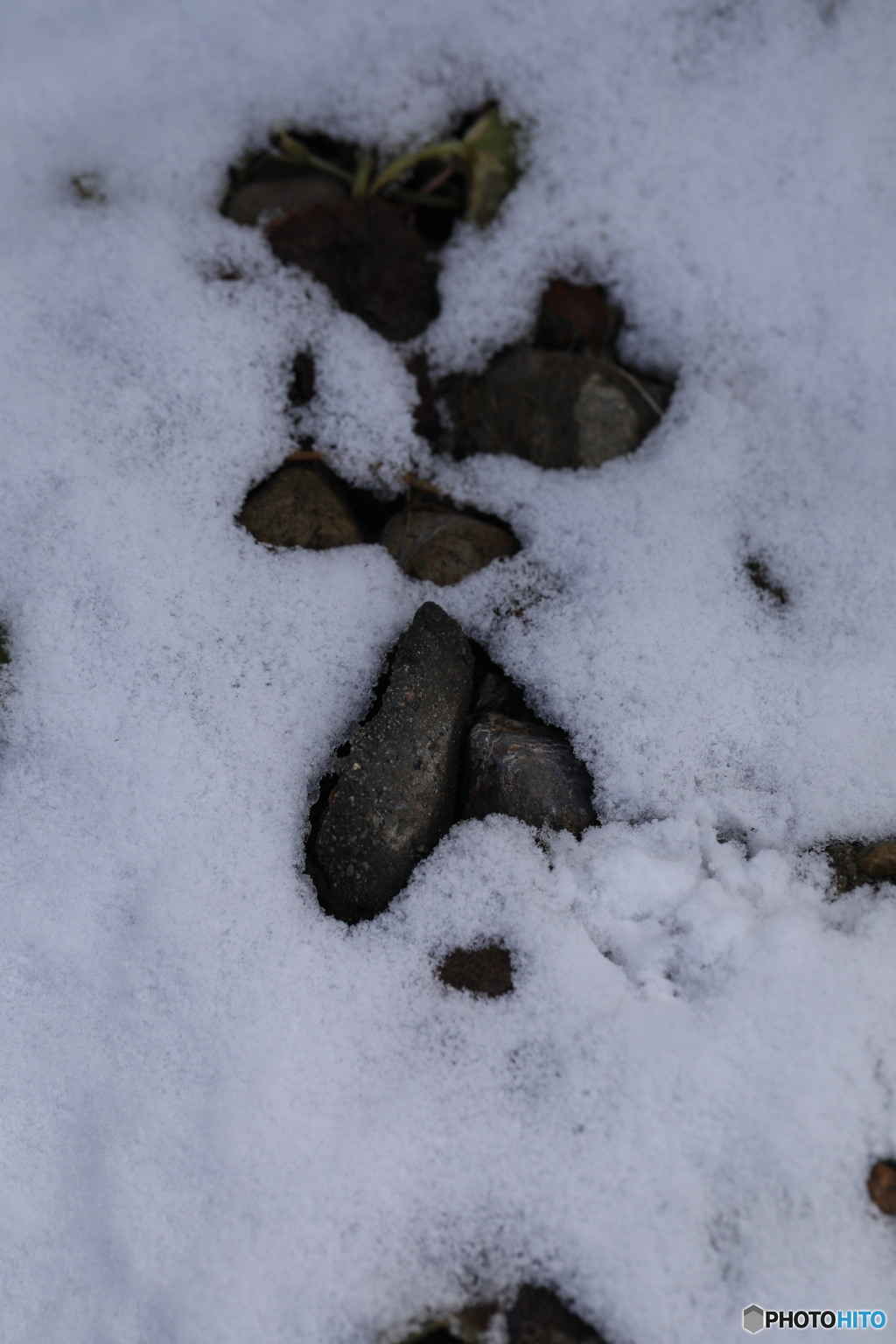 雪消えハート