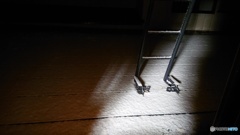 初雪