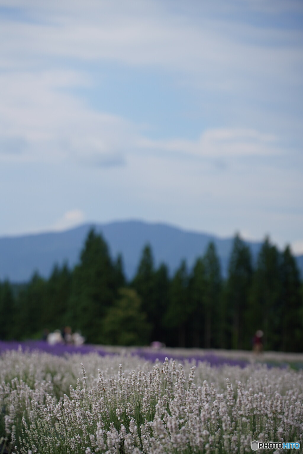 奥羽山脈を望む