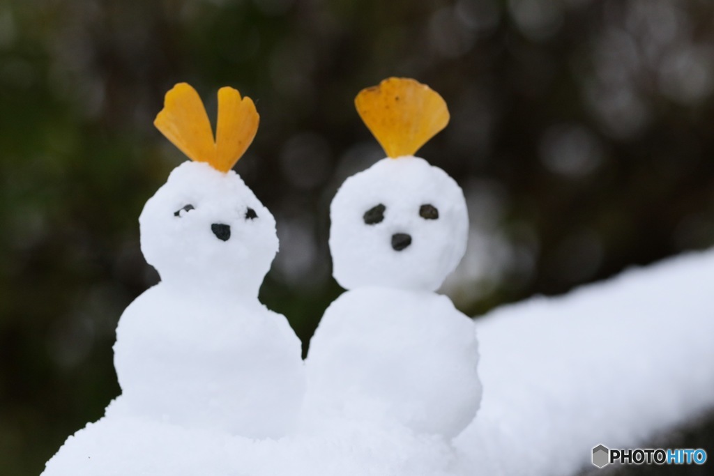 雪だるま作ろう～♪