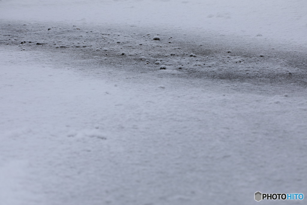雪の果