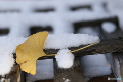 根雪間近