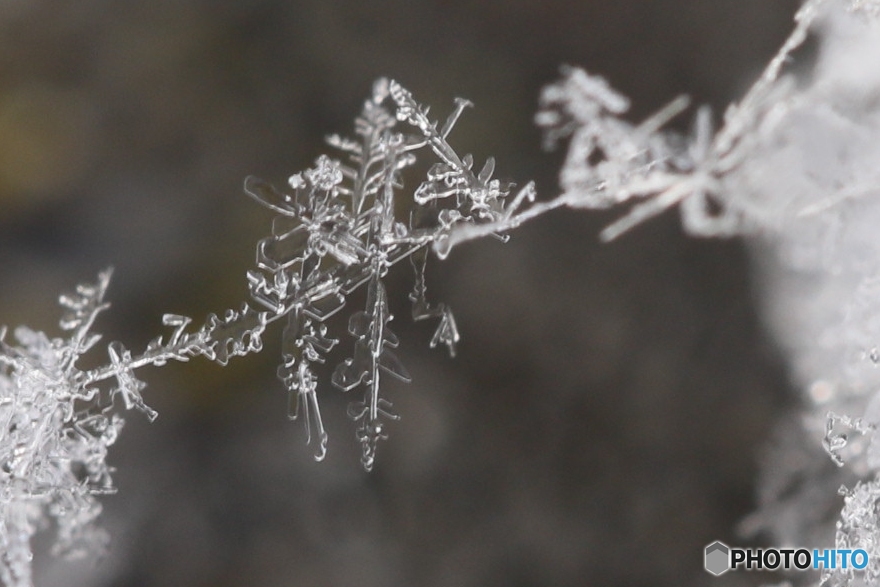 雪の結晶の架け橋 By ぢ Id 写真共有サイト Photohito