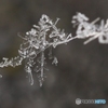 雪の結晶の架け橋