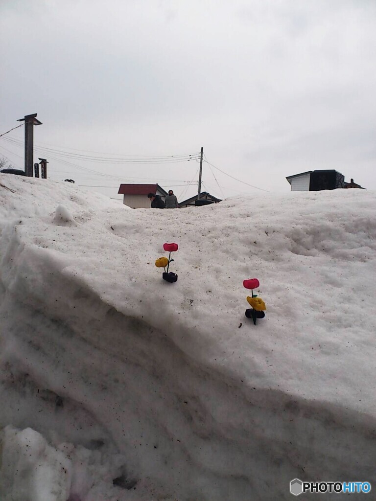 雪国のお彼岸(墓参)