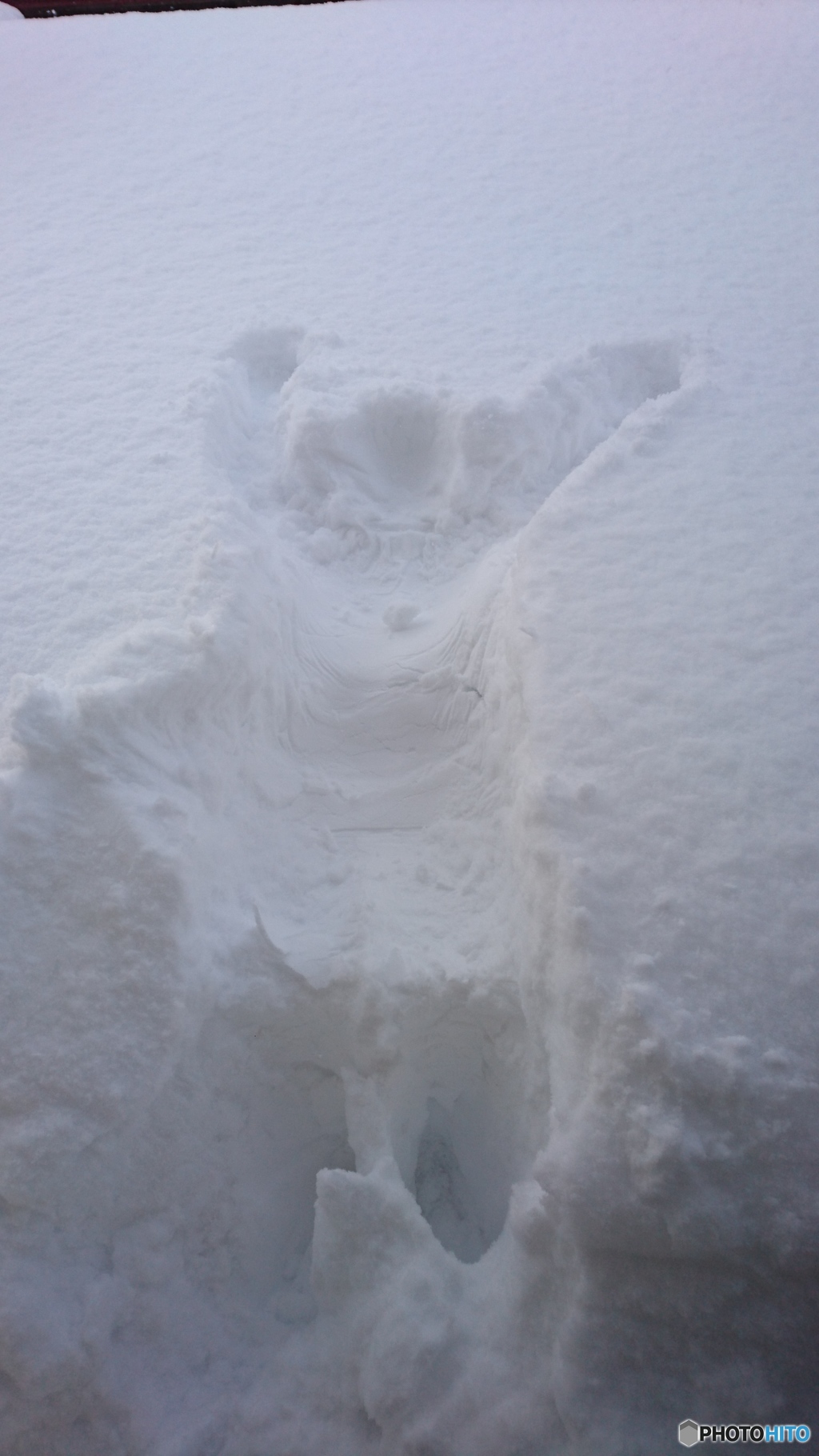 雪ダイブ