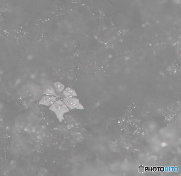 雪の結晶