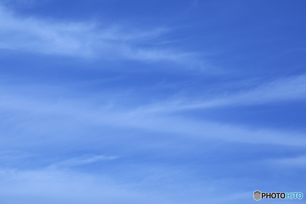 冬の空