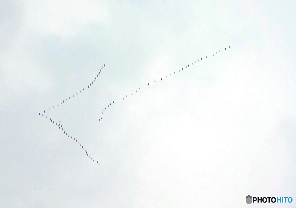 空の矢印