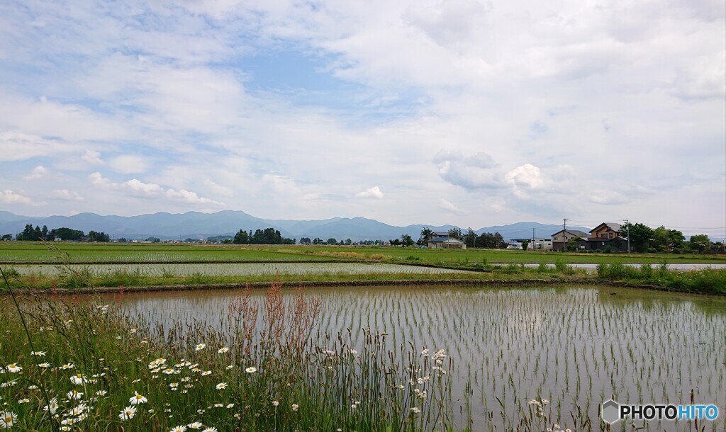 ６月の空