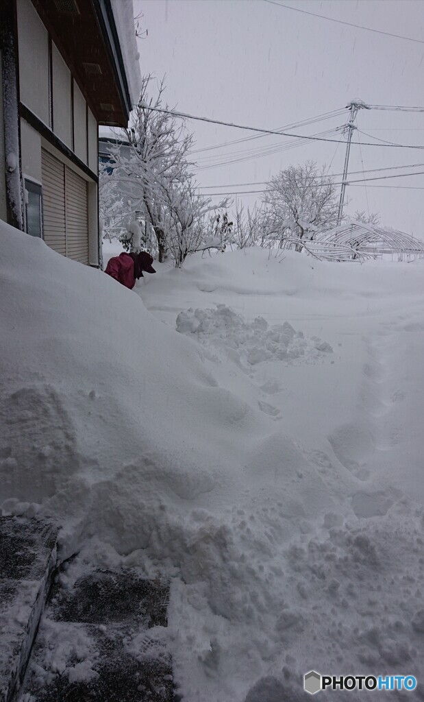 雪降り続く