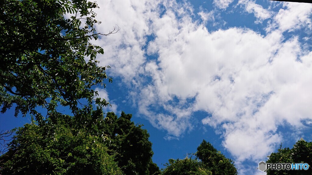 ８月の空