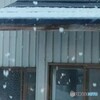 ぼたん雪