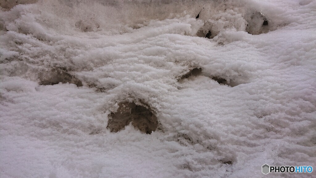 雪解けハート