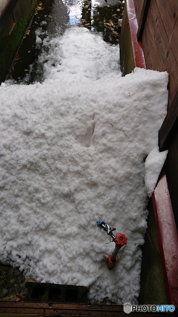 落雪