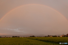 夕方の大きな虹