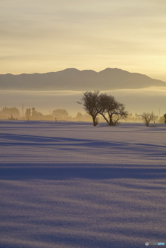 雪景色