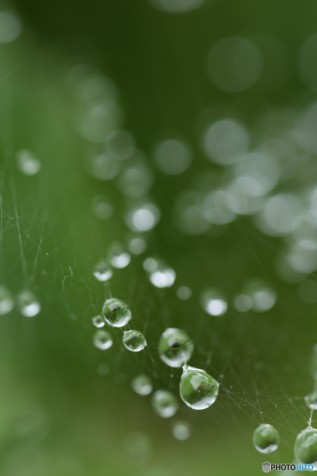 雨あがり