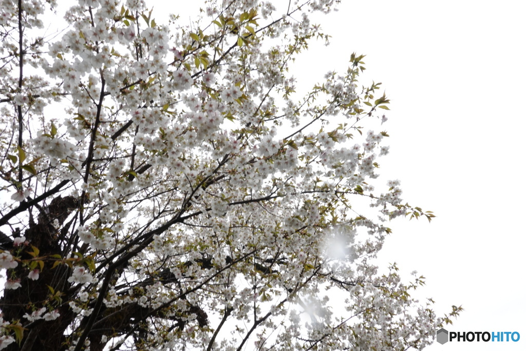 ５月の空