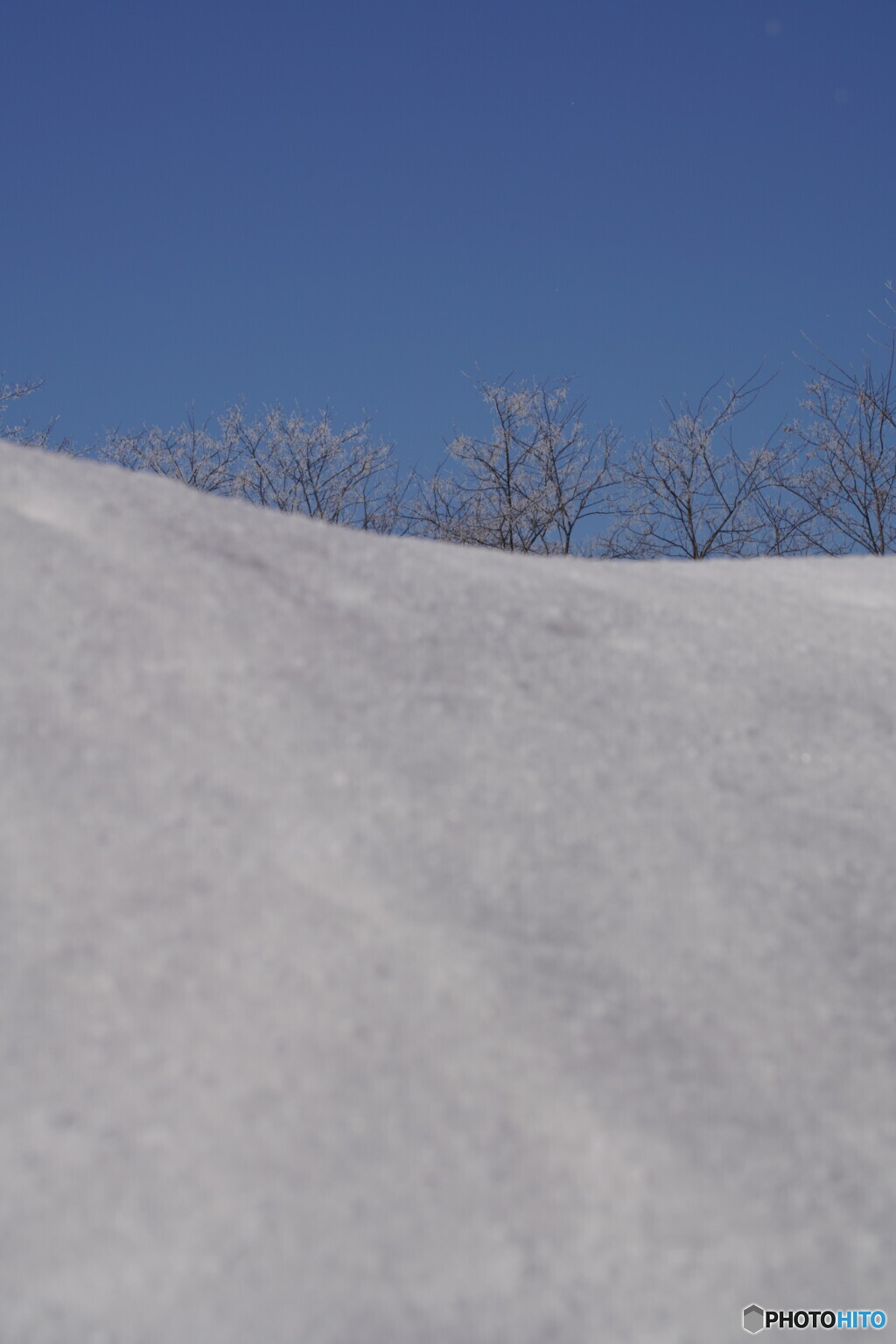 毎日除雪だった頃