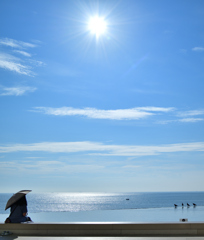 海と空と太陽と女性と鳥