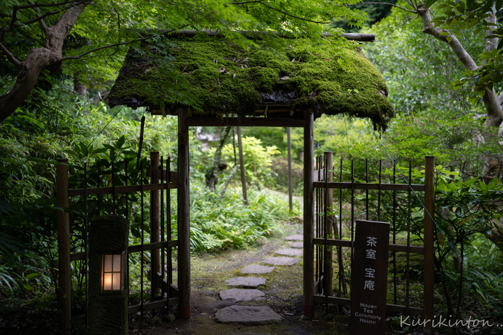 苔の茶室